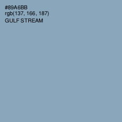 #89A6BB - Gulf Stream Color Image
